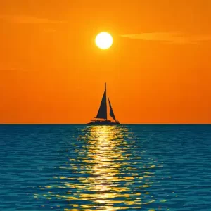 비아그라 사이트 정보 확인 방법 안전한 의약품 이용을 위한 가이드