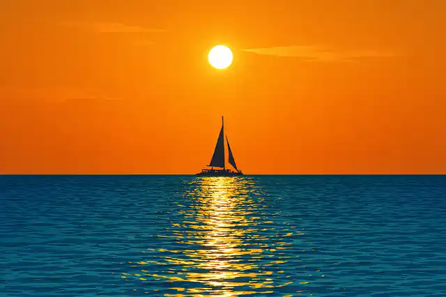 비아그라 사이트 정보 확인 방법 안전한 의약품 이용을 위한 가이드